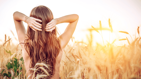natural shampoo and natural conditioner with avocado oil extract daily hair cleansing